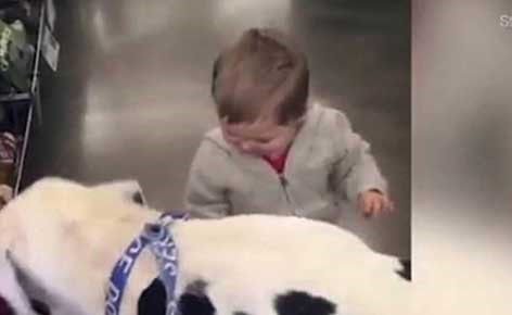 بالفيديو.. صداقة الرضيع والكلب العملاق تثير الإعجاب الكبير