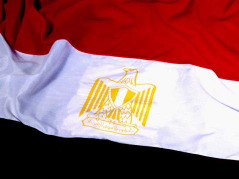 مصر ترفض التدخل التركي في عفرين وتعتبره انتهاكاً جديداً للسيادة السورية