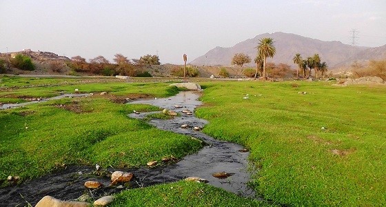 بالفيديو.. في هذا المكان تمت محاصرة " أصحاب الفيل " .. شاهد الطبيعة الخلابة للمكان