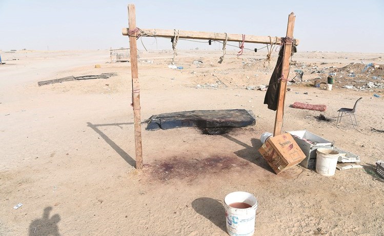 أحد المواقع غير المرخصة التي يستخدمها القصابون﻿