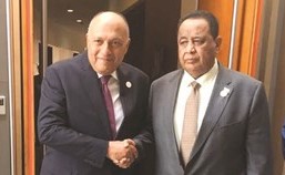 وزير الخارجية سامح شكري مصافحا نظيره السوداني إبراهيم غندور﻿
