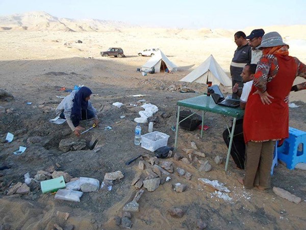 اكتشاف ديناصور في الواحات