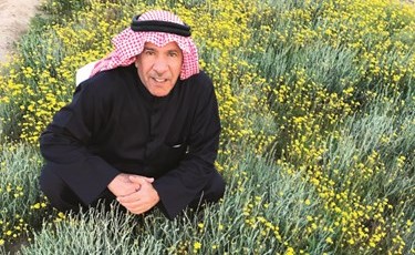 ربيع زاهر في مزارع العبدلي﻿