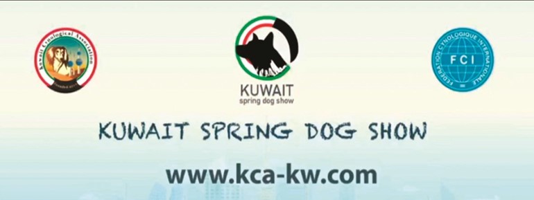 بالفيديو.. الاتحاد الدولي للكلاب «FCI» ينظم مسابقة جمال الكلاب الأصيلة في الكويت 2 و3 مارس المقبل
