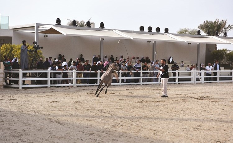 منافسة قوية شهدها اليوم الأول﻿