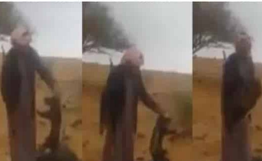 بالفيديو.. حقيقة العثور على حيوان غامض في السعودية وقتله!
