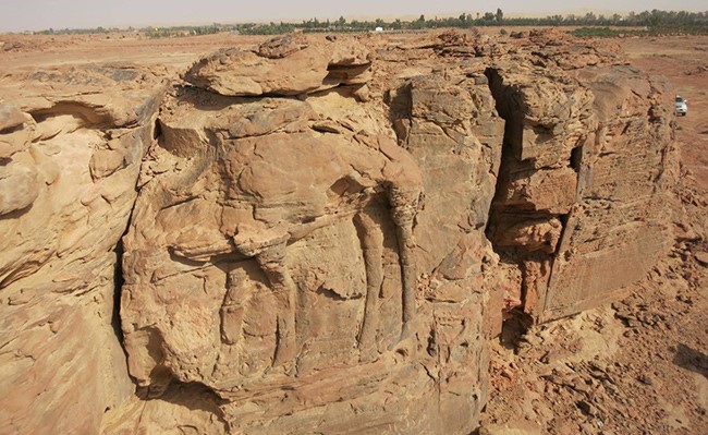 بالفيديو.. جِمال منحوتة في الصخر في صحراء الجوف السعودية تخفي ألغازاً كبيرة