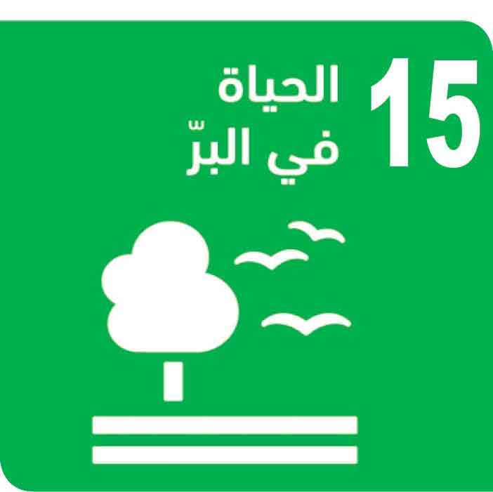 الأمم المتحدة وأهداف التنمية المستدامة: 17 هدفاً لتحويل عالمنا