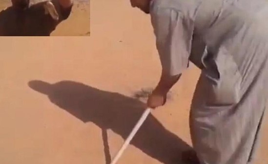 اللغز.. كان اسماً لشيء عند العرب قد لا تتوقّعه أبداً !