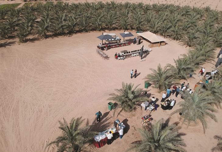 مزرعة سدير﻿