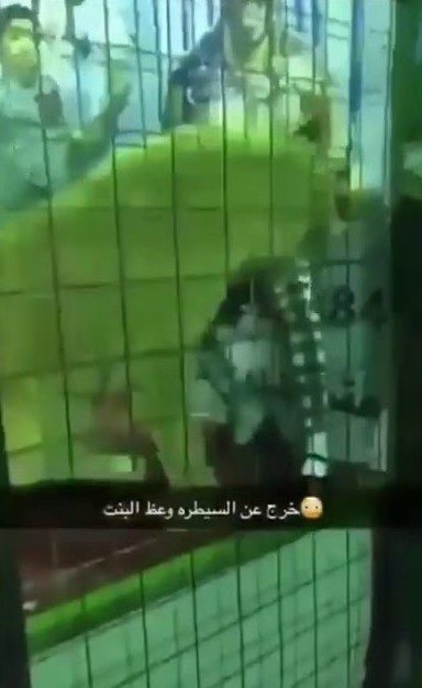 بالفيديو.. شاهد كيف انقض هذا الأسد على طفلة الخمسة أعوام في السعودية