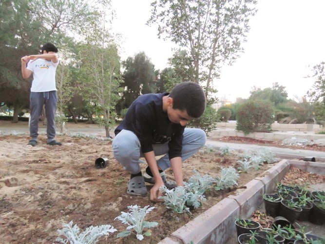 غرس الشتلات للحفاظ على البيئة جميلة نظيفة﻿