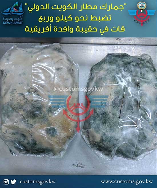 "جمارك المطار" تضبط كيلو وربع الكيلو "قات" في حقيبة وافدة أفريقية