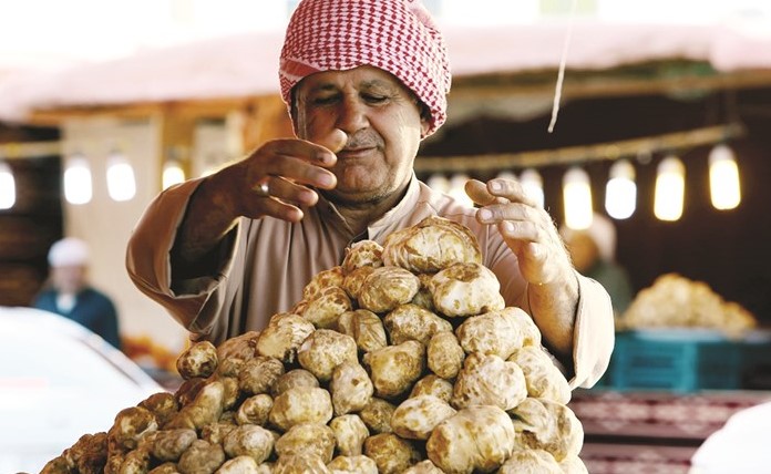 الفقع يرتبط بأكلات خليجية شعبية كثيرة﻿
