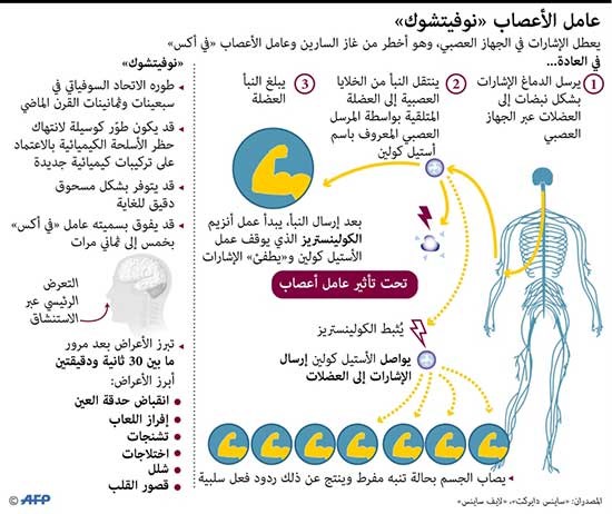 كيف وصل غاز الأعصاب الذي سمم العميل سكريبال وابنته إلى بريطانيا؟