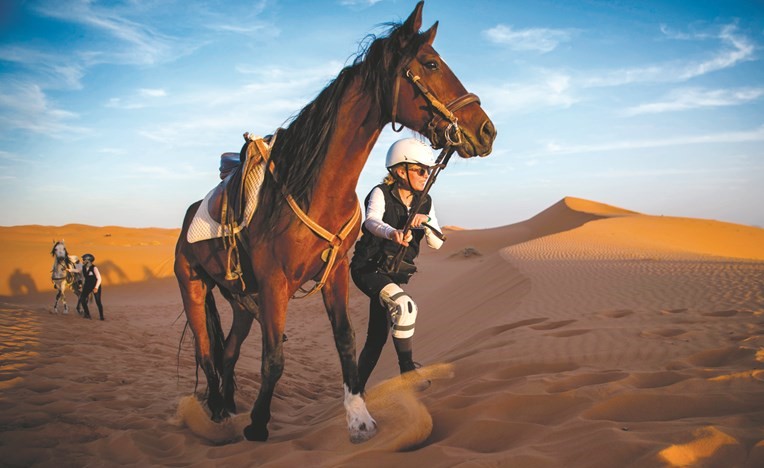 مغامرة في الصحراء﻿