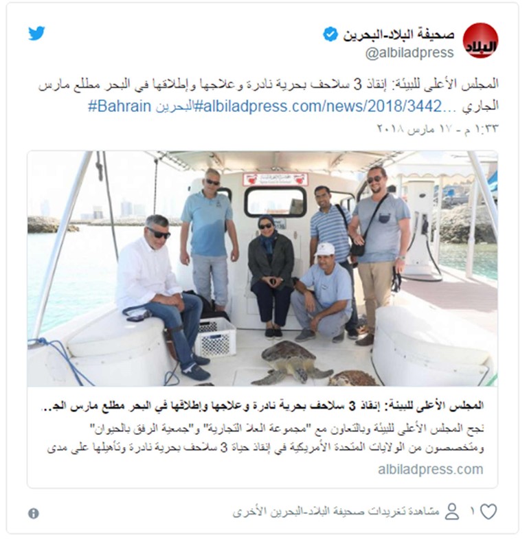 البحرين تنقذ 3 حيوانات بحرية نادرة