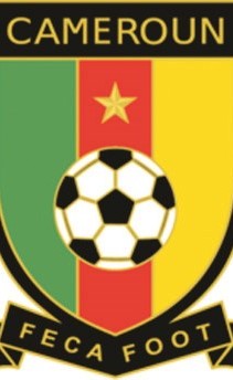 الكاميرون يتدرب في النصر اليوم