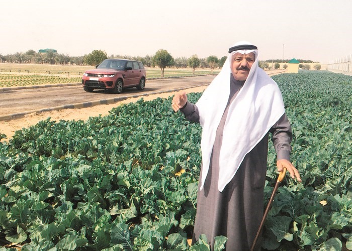 المزارع الشمري وسط مزرعته الرحبة في العبدلي﻿
