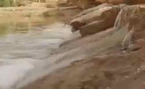 بالفيديو.. أمطار الرياض تضفي جمالاً على الطبيعة الخلابة بمنتزه الملك سلمان البري