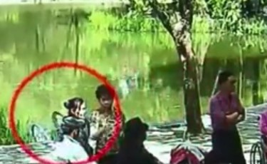 بالفيديو.. انشغل موظفو الرعاية بالرقص فسقطت العجوز في البحيرة