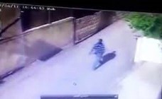 بالفيديو.. شاب في الأردن يضرب فتاة سورية بآلة حادة في وجهها!