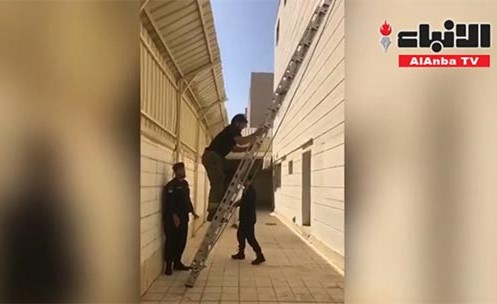 بالفيديو.. اطفاء الجهراء الحرفي ينقذ طائرًا علق في "سلك" منزل بسعد العبدالله