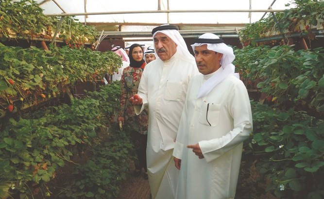 داخل محمية الفراولة﻿