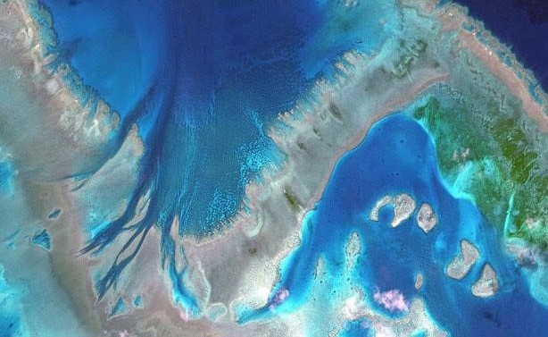 استراليا تتعهد بإنفاق 500 مليون دولار لحماية الحاجز المرجاني العظيم