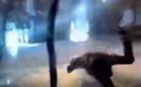 بالفيديو.. عريس مصري يتعرض لموقف محرج يسقط بعروسه على الأرض بطريقة مروعة!