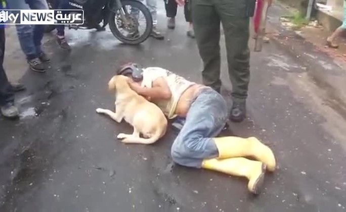 مليون مشاهدة لفيديو الكلب الوفي