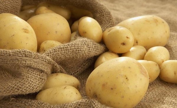 البطاطس تلقى معاملة الكافيار في الدنمارك