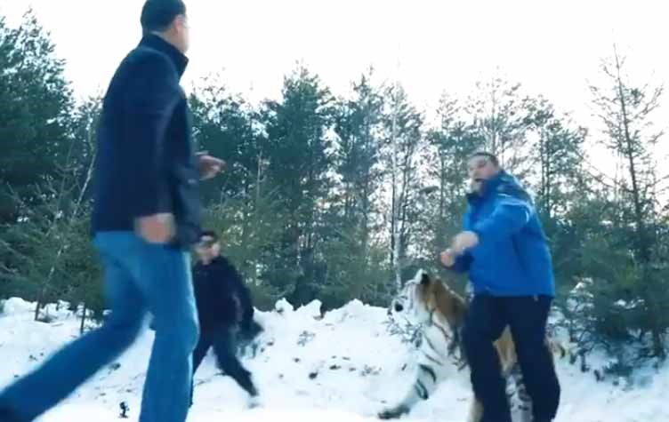 بالفيديو.. رامز جلال يفاجئ إعلامي مصري بنمر متوحش على الهواء !