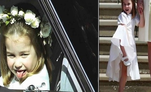 بالصور.. الأميرة تشارلوت تخطف الأنظار بحفل الزفاف الملكي بتصرفاتها الغريبة