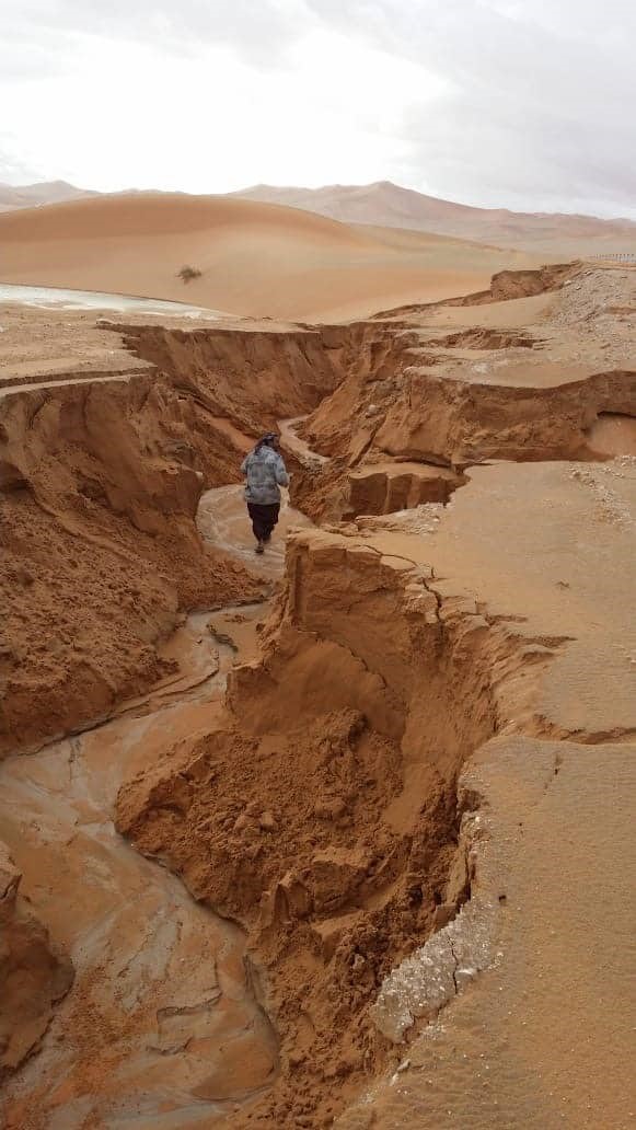 بالفيديو.. بعد إعصار مكونو.. صحراء الربع الخالي تتحول إلى الربع المليان