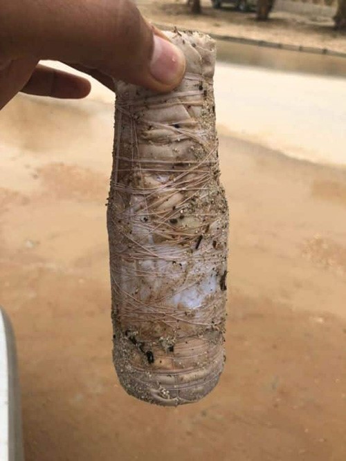بالفيديو.. صور صادمة لأعمال سحرية لفظها إعصار مكونو