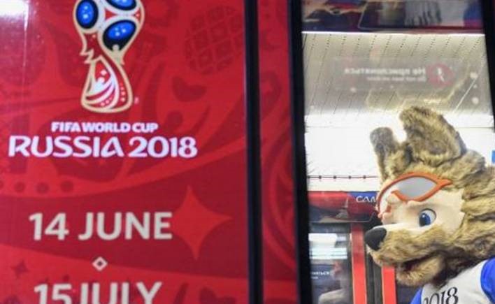 أخطبوط وسلحفاة وقطة.. أبرز عرّافي كأس العالم