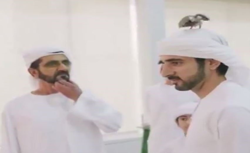 بالفيديو.. شاهد طائرا بين حاكم دبي وولي عهده في لحظة غريبة