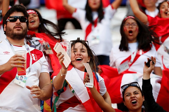 الدنمارك تتغلب على بيرو بهدف نظيف