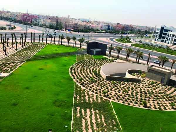  مساحات خضراء بمحيط المبنى