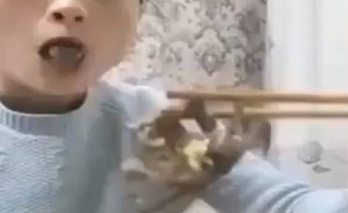 بالفيديو.. قبقب ينتقم من فتاة صينية حاولت تناوله حيا