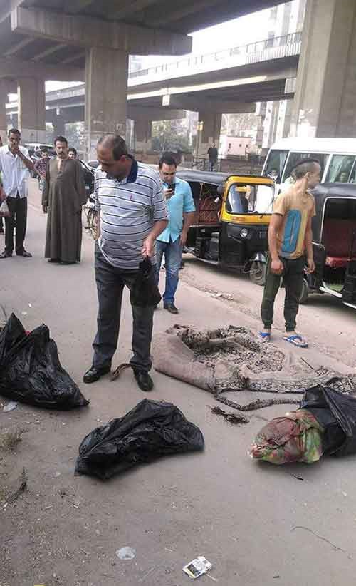 مذبوحين وأجسادهم ممزقة .. شاهد بالصور.. تفاصيل العثور على جثث 3 أطفال مصريين داخل أكياس قمامة بجوار فندق