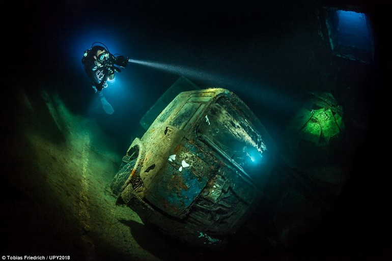 شاهد أفضل صور العالم من تحت الماء لعام 2018