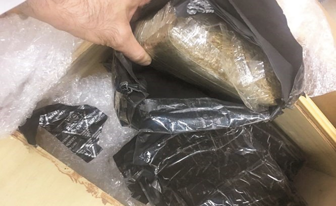 المواد المخدرة التي تم الكشف عنها بعد تمرير الطرد على أجهزة التفتيش﻿
