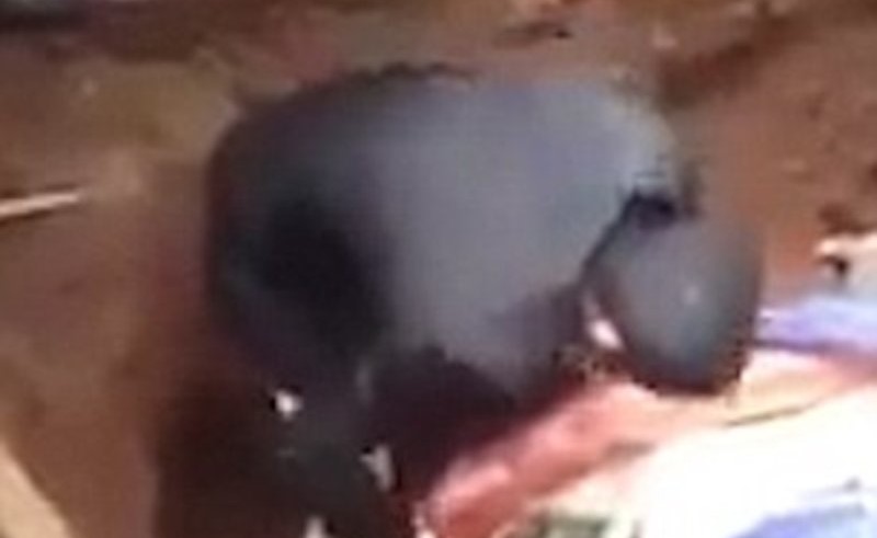 بالفيديو.. "تعرض للضرب المبرح".. شاهد لحظة ادعاء مشعوذ إيقاظ ميت.. و "فشله"