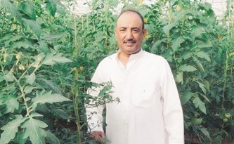 المزارع عوض راشد الجويسري وسط مزروعات العبدلي﻿