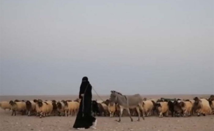 شاهد .. ممرضة فلبينية تزوجت سعودياً ترعى أغنامها وتهوى البر والمكشات