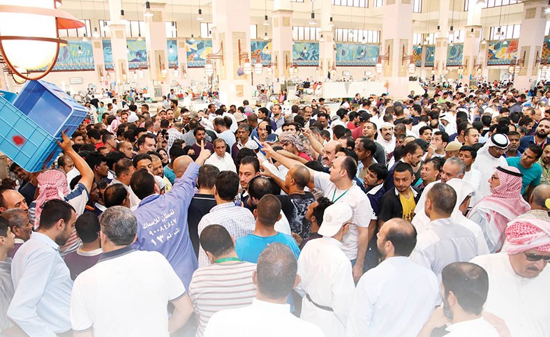 بالفيديو.. الروبيان يصدم عشاقه بقلة كمياته ولهيب أسعاره