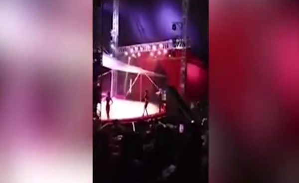 بالفيديو.. لعبة "القذيفة البشرية" بالسيرك تتحوَّل لمشهد رعب