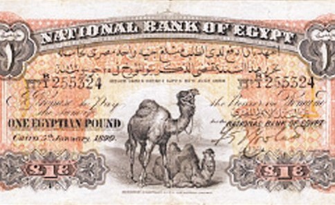 صورة للجنيه المصري النادر ﻿